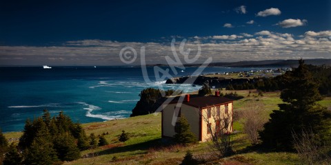 Job's Cove, Conception Bay